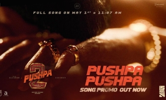 Song Promo: What Is This Pushpa-Pushpa?