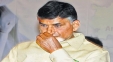 TDP seeks ECI's intervention for fair probe in stone pelting Incident