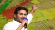 YCP's Action Plan To Mitigate Land Titling Act Damage
