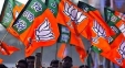 Impossible to implement TDP manifesto: BJP