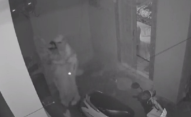 Telangana woman bravely fought armed robber