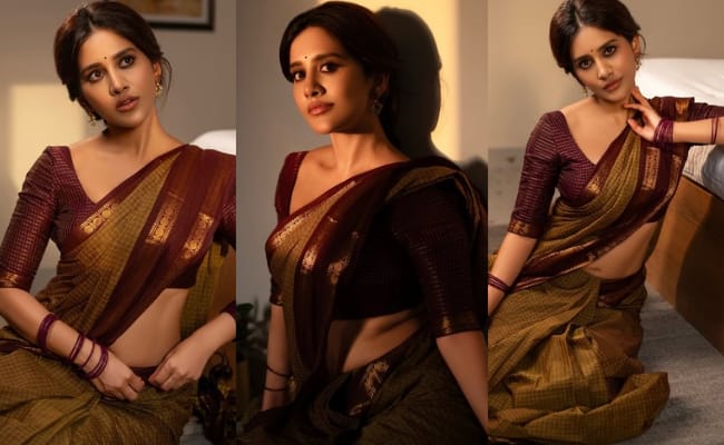 Pics: Nabha Looks Graceful In Traditional Saree