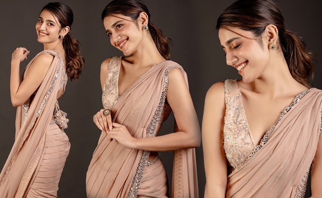 Pics: Wink Girl Tight Wrapped In Saree