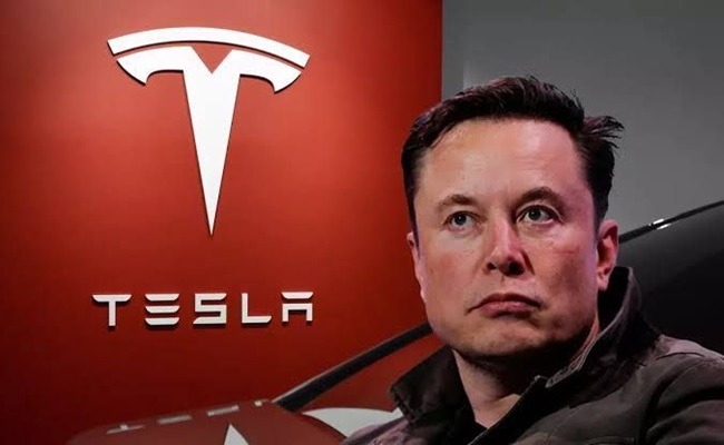 Tesla's Pricing Strategy In India