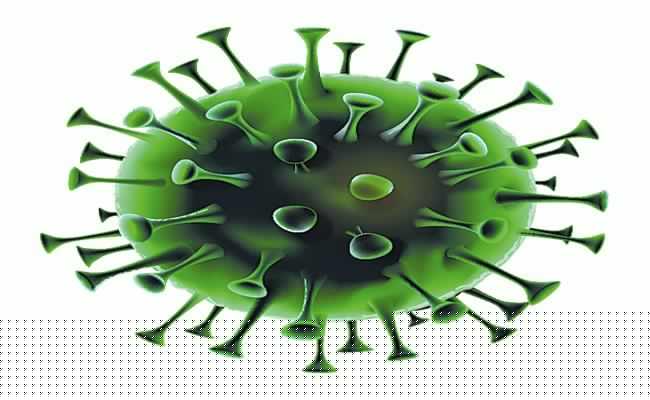 Covid can impair men's fertility: Study