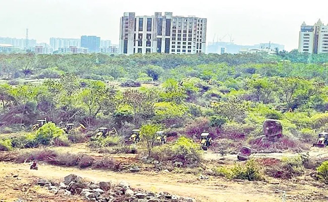 Fake videos on HCU land: Revanth govt moves HC