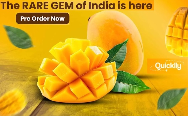 Alphonso Mangoes: From Ratnagiri Farm to UR Plate