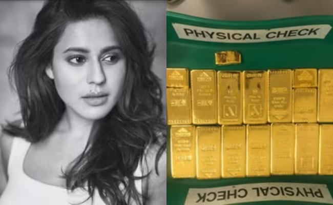 Actress flat raided, cash and gold worth crores seized