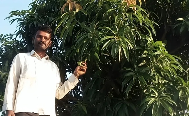 Man Quits MNC Job: Earned 12500% Return On Farming