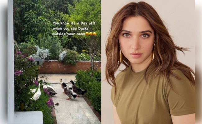 Tamannaah gives a sneak peek into her day off