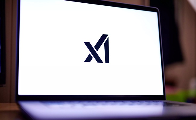 Musk's xAI Drops the Axe: Biggest Team Wiped Out