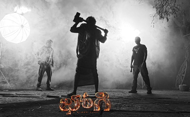 Sharwa's Bhogi Extensive Double Action