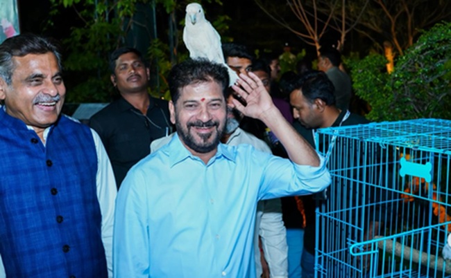 Revanth Plans Night-Tourism Along Musi River