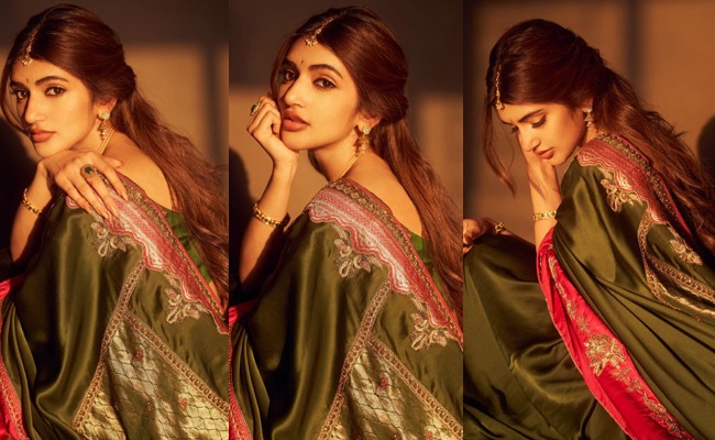 HOT: Sreeleela Shines In Traditional Saree