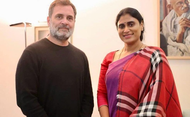 Sharmila desperate to prove her identity!