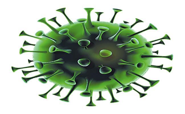 'Covid spreading in the Americas in new, different ways'