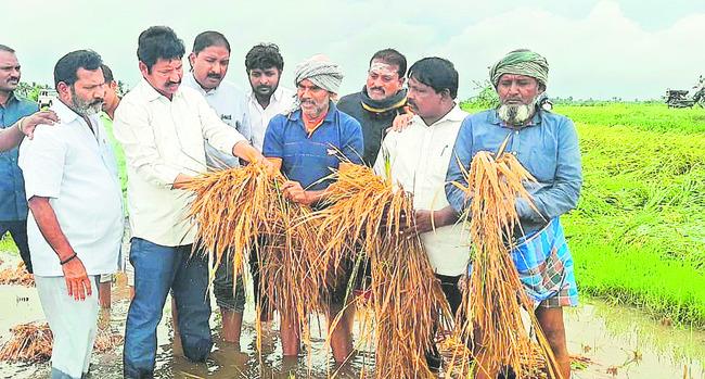 Cyclone causes extensive damage to crops in Andhra