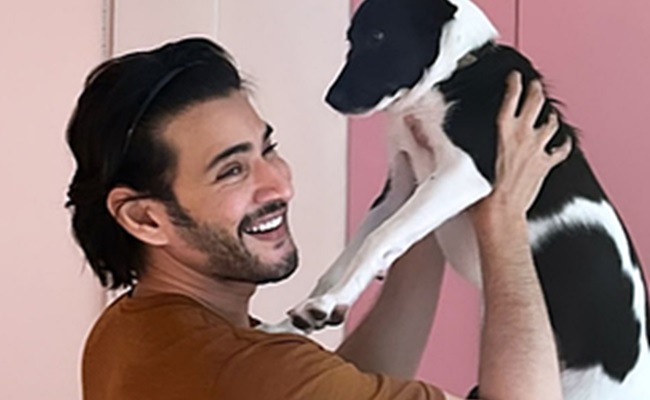 Mahesh spends Sunday with pet dog, calls it the 'best way'