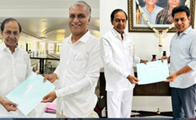 Telangana polls: All in the family