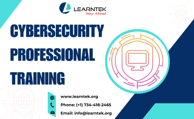 Best Cybersecurity Professional Training