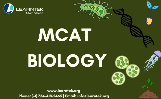 MCAT Biology - AP - IB - DSAT  1 ON 1 Tutoring