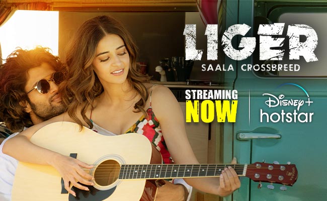 Liger on Disney+ Hotstar: Watch, Cheer & Dance