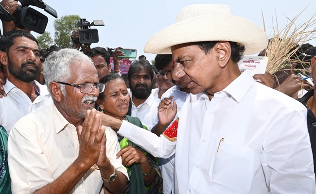 KCR Inspects Withered Crops, Comforts Affected Farmers