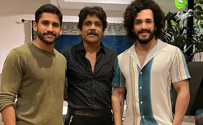 Three Akkineni Heroes After Disasters