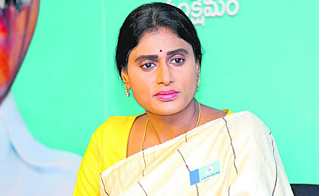 Jagan, not Congress, split YSR family, says Sharmila