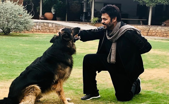 Venkatesh's Google, The 'F2' Fame Passed Away