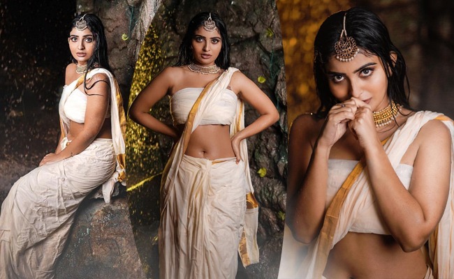 Pics: Telugu Girl's Navel Show In Saree