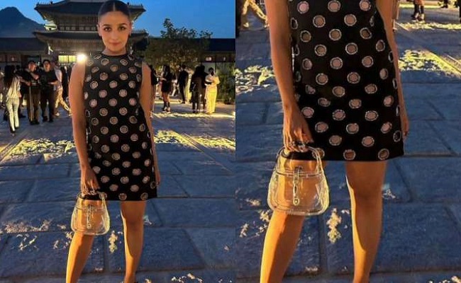 Alia trolled for carrying 'empty' bag at an event