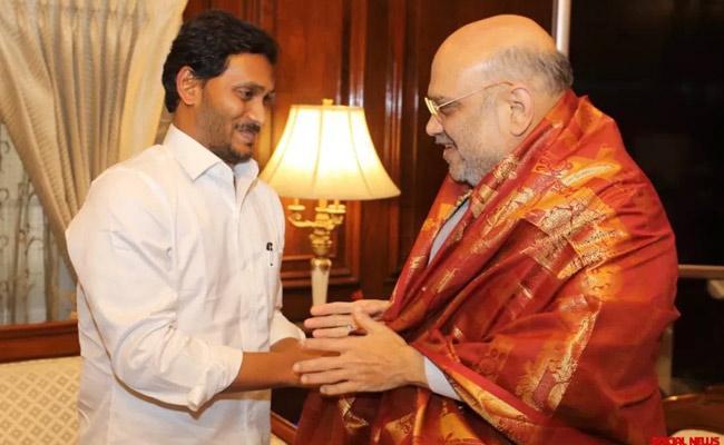 Jagan discusses AP-related issues with Amit Shah