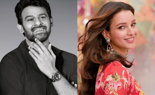 Animal Beauty Replaces Deepika In Prabhas' Spirit