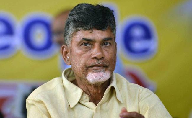 Nellore Roundup: TDP To Win Only One?