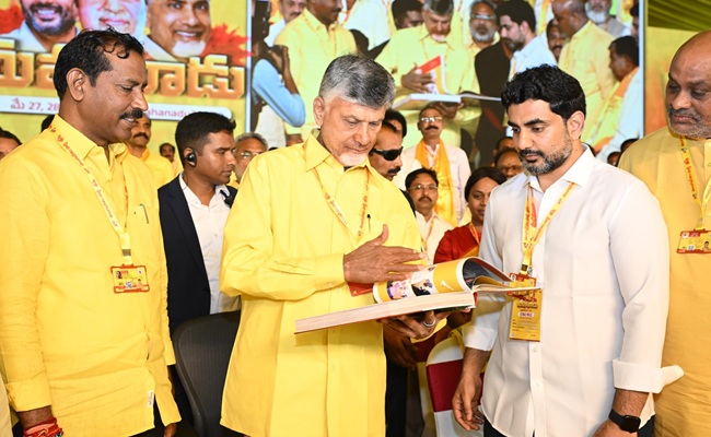 Lokesh as TDP working president not now