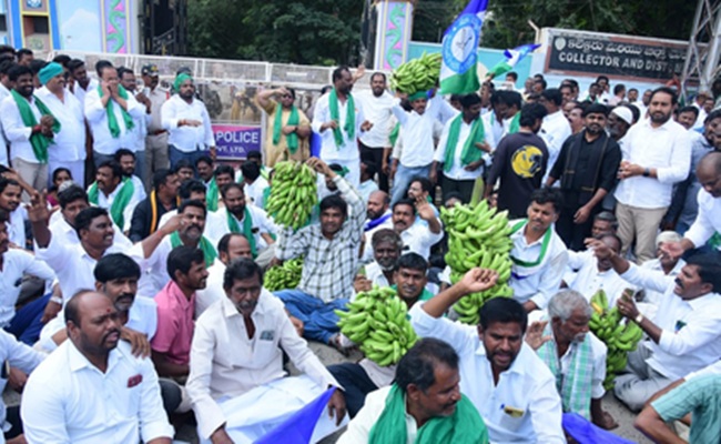 In AP, a kg of banana is cheaper than a matchbox?