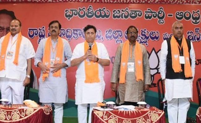 BJP no to pact with TDP; ball in Pawan's court!