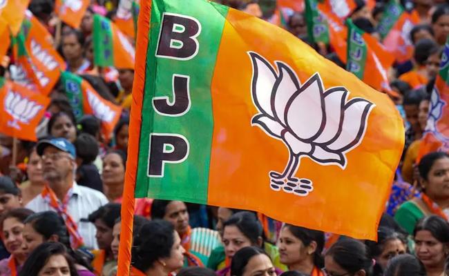 BJP okays four MPs, eight MLAs for AP?