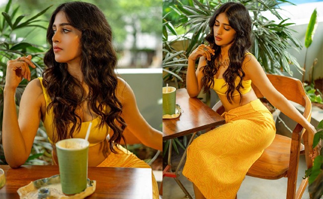 Pics: Glam Side Of Native Telugu Actress