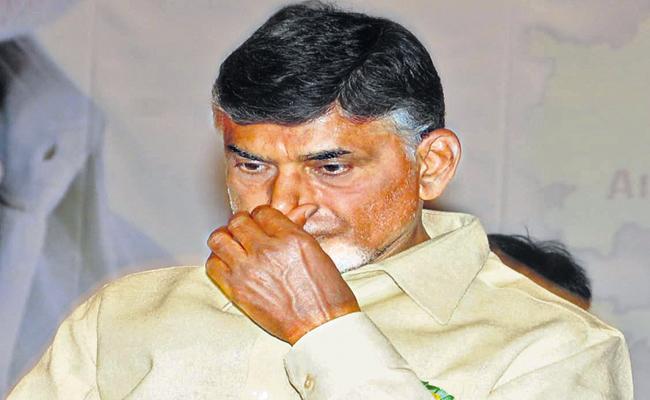 A Tough Roller-Coaster Ride For Naidu