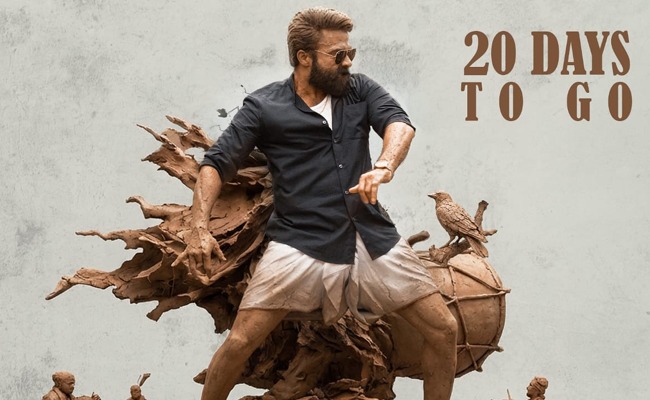 Dhandoraa Early Overseas Premieres