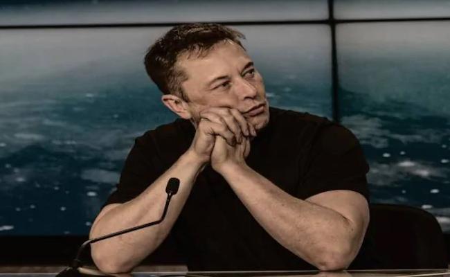 I haven't had sex in ages, laments Elon Musk