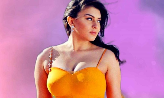 Hansika Motwani has nine projects lined up this year