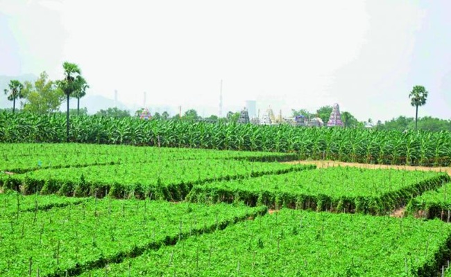 Non-LPS Farmers Accuse APCRDA of Coercion in Amaravati