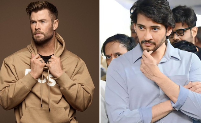 Costly Cameos In Mahesh And Allu Arjun Films: What For?