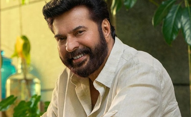 Mammootty's Net Worth Revealed on His 74th B'day