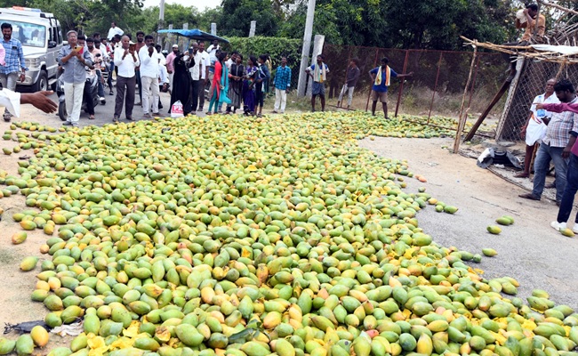 TDP exposes high drama at Jagan's market visit