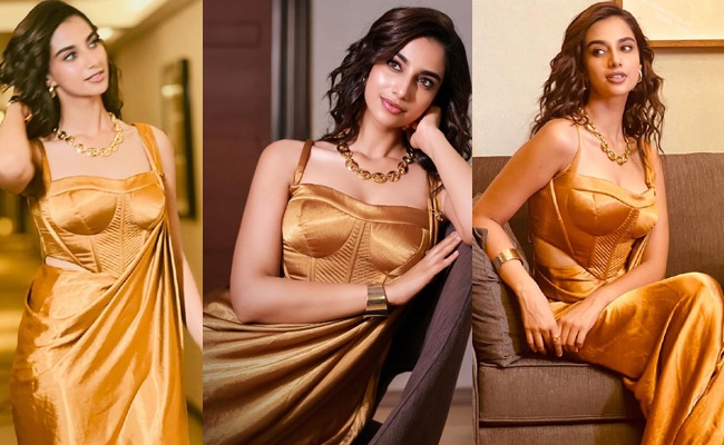 HOT: Meenakshi's Brightness And Elegance