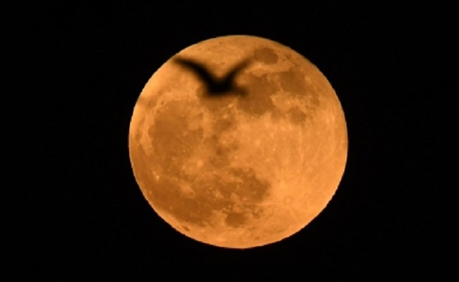 Why suicidal deaths spike during the full moon week